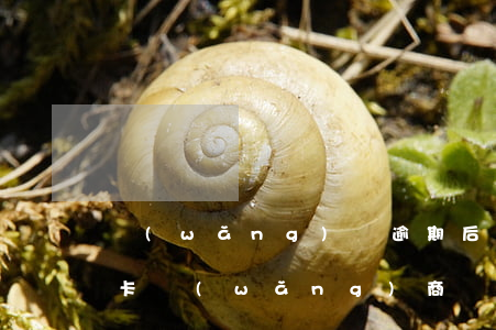 網(wǎng)貸逾期后多久可以辦理信用卡（網(wǎng)商貸逾期多久后可以辦信用卡）