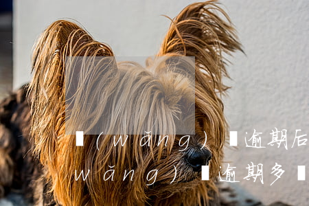 網(wǎng)貸逾期后多久開始催收(網(wǎng)貸逾期多長時(shí)間會上門催收)