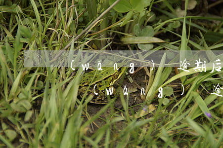 網(wǎng)貸逾期后對信用卡有什么影響 網(wǎng)貸逾期后對信用卡有什么影響嘛