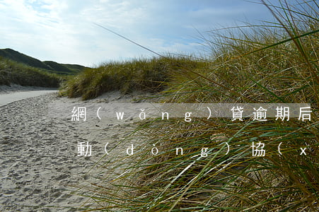 網(wǎng)貸逾期后平臺(tái)主動(dòng)協(xié)商還款