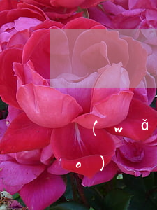 網(wǎng)貸逾期后很多陌生號(hào)碼(網(wǎng)貸逾期后換了新號(hào)碼)