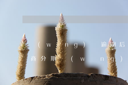 網(wǎng)貸逾期后怎么協(xié)商分期(網(wǎng)貸逾期前協(xié)商還是逾期后協(xié)商)