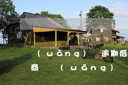 網(wǎng)貸逾期后怎么協(xié)商還(網(wǎng)貸逾期無力償還如何協(xié)商)