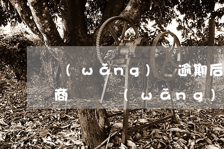 網(wǎng)貸逾期后怎么協(xié)商還錢(網(wǎng)貸逾期協(xié)商還本金注意)
