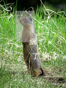 網(wǎng)貸逾期后怎么換號碼(換號碼了網(wǎng)貸怎么知道我號碼)