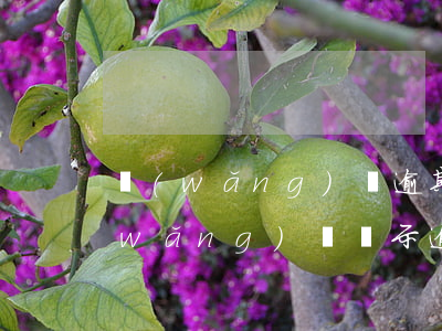 網(wǎng)貸逾期后怎么查詢本金(網(wǎng)貸顯示逾期,但是已經(jīng)結(jié)清)