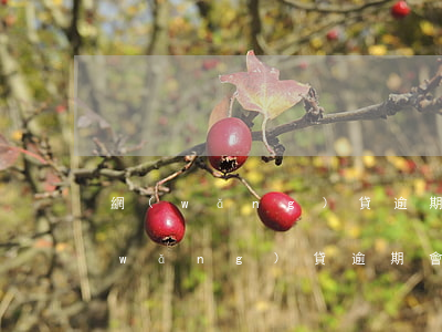 網(wǎng)貸逾期后怎么處理知乎 網(wǎng)貸逾期會怎么樣呢