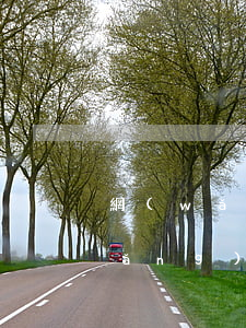 網(wǎng)貸逾期后怎么還款好(網(wǎng)貸逾期怎么還款方式)