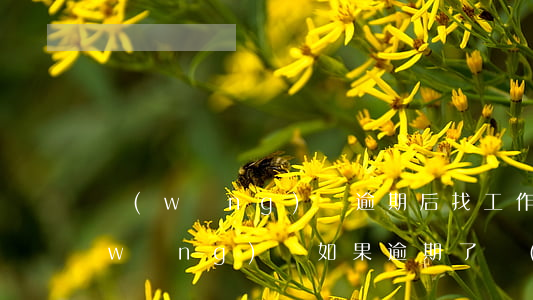 網(wǎng)貸逾期后找工作怎么辦(網(wǎng)貸如果逾期了會(huì)怎么樣)