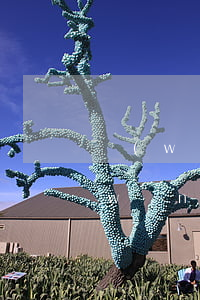 網(wǎng)貸逾期后把通訊錄清空(網(wǎng)貸逾期會(huì)打通訊錄所有人的電話嗎)
