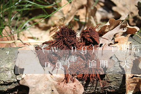 網(wǎng)貸逾期后提前還分期(網(wǎng)貸逾期幾天還了之后)