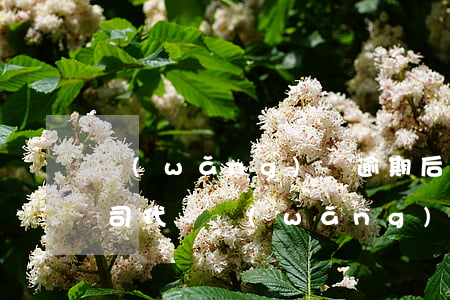 網(wǎng)貸逾期后擔(dān)保公司代償(網(wǎng)貸逾期保險(xiǎn)公司代償)