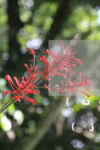 網(wǎng)貸逾期后支付寶微信會被凍結(jié)嗎-網(wǎng)貸逾期后支付寶微信會被凍結(jié)嗎安全嗎