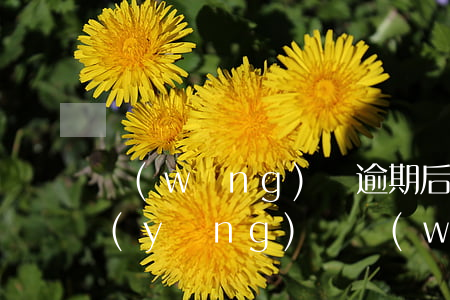 網(wǎng)貸逾期后收到律師函怎么應(yīng)訴 網(wǎng)貸逾期接到律師函怎么辦