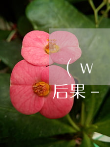網(wǎng)貸逾期后收到律師函有什么后果-網(wǎng)貸逾期后收到律師函有什么后果貼吧