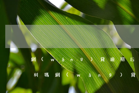 網(wǎng)貸逾期后會(huì)利滾利嗎(網(wǎng)貸不還會(huì)一直滾下去嗎)