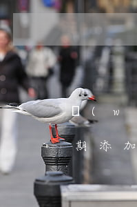 網(wǎng)貸逾期后會(huì)爆后期添加的號(hào)碼嗎-網(wǎng)貸逾期后會(huì)爆后期添加的號(hào)碼嗎安全嗎