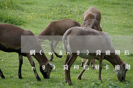 網(wǎng)貸逾期后會上門嗎（網(wǎng)貸和信用卡逾期還會上門嗎）