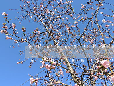 網(wǎng)貸逾期后會凍結(jié)家人微信嗎(網(wǎng)貸逾期后會凍結(jié)家人微信嗎)