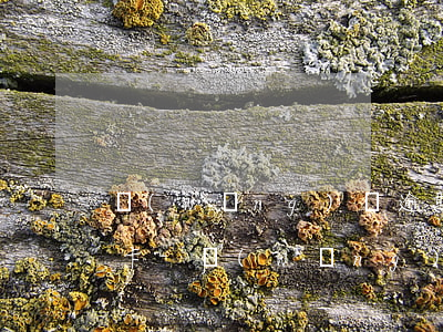 網(wǎng)貸逾期后會將客戶申請信用卡-網(wǎng)貸逾期過可以申請信用卡嗎