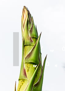 網(wǎng)貸逾期后會自動扣款嗎(網(wǎng)貸為什么可以自動扣款)
