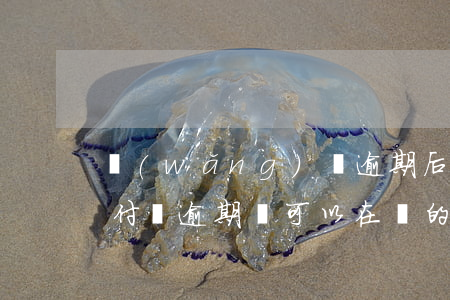 網(wǎng)貸逾期后有人加支付寶-支付寶逾期還可以在別的網(wǎng)貸借錢嗎