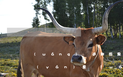 網(wǎng)貸逾期后果嚴(yán)不嚴(yán)重(網(wǎng)貸嚴(yán)重逾期對(duì)以后有什么影響)