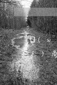 網(wǎng)貸逾期后無力償還協(xié)商(網(wǎng)貸逾期協(xié)商處理辦法)