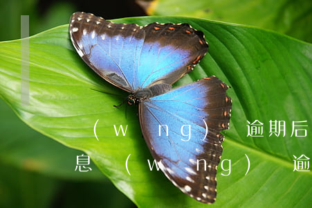 網(wǎng)貸逾期后發(fā)訴訟信息(網(wǎng)貸逾期后發(fā)訴訟信息)