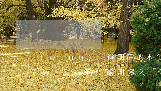 網(wǎng)貸逾期后的本金怎么計算(網(wǎng)貸逾期多久還款先扣除本金)