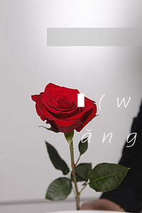 網(wǎng)貸逾期后的還賬生活(網(wǎng)貸逾期之后還了是不是就沒事了)