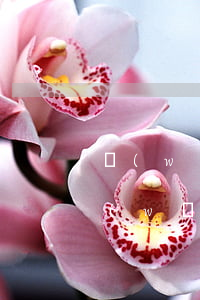 網(wǎng)貸逾期后短信告知要起訴（網(wǎng)貸逾期發(fā)信息說要起訴我）