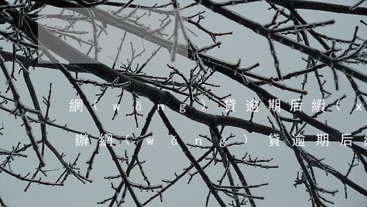 網(wǎng)貸逾期后續(xù)還怎么辦(網(wǎng)貸逾期后續(xù)還怎么辦)