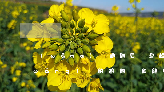 網(wǎng)貸逾期后罰息超過本金(網(wǎng)貸的逾期罰金能免掉嗎)