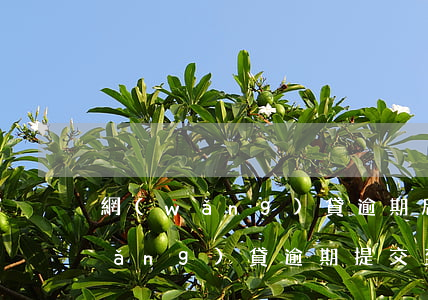 網(wǎng)貸逾期后被仲裁答辯(網(wǎng)貸逾期提交到仲裁是什么意思)