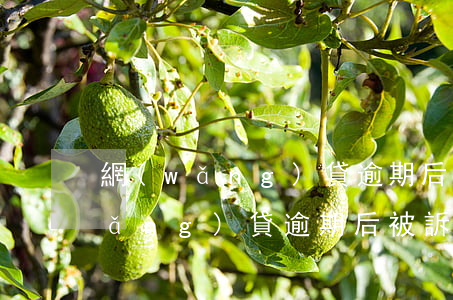 網(wǎng)貸逾期后被訴前保全(網(wǎng)貸逾期后被訴前保全)