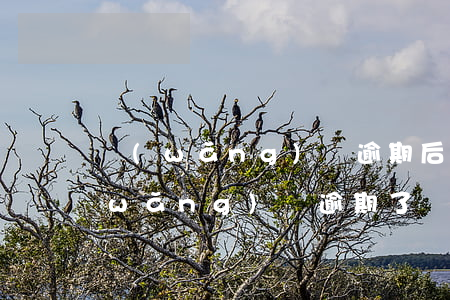 網(wǎng)貸逾期后要全部還清嗎(網(wǎng)貸逾期了還能網(wǎng)貸嗎)