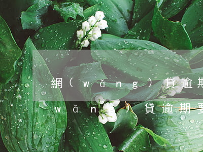 網(wǎng)貸逾期后要求一次還清(網(wǎng)貸逾期要求一次性還完怎么辦)