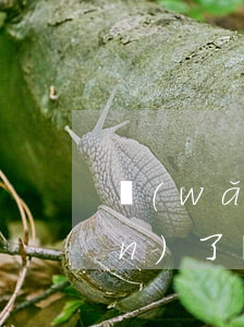 網(wǎng)貸逾期后賬單不見(jiàn)了(網(wǎng)貸有逾期記錄怎么辦)