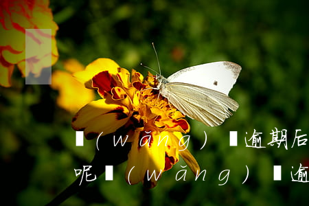 網(wǎng)貸逾期后起訴后在哪里開庭呢(網(wǎng)貸逾期被起訴在哪里開庭)