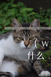 網(wǎng)貸逾期后起訴的具體流程是什么