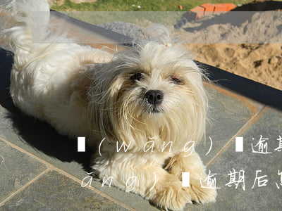 網(wǎng)貸逾期后還款怎么還(網(wǎng)貸逾期后怎么辦)