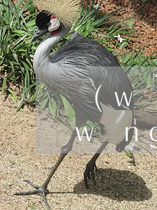 網(wǎng)貸逾期后還清還被訴訟(網(wǎng)貸逾期但是還清了)