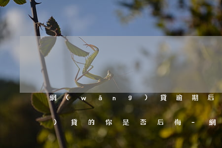 網(wǎng)貸逾期后陷入網(wǎng)貸的你是否后悔-網(wǎng)貸逾期后陷入網(wǎng)貸的你是否后悔了呢