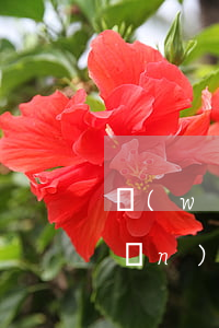 網(wǎng)貸逾期后離婚算轉(zhuǎn)移財產(chǎn)嗎(網(wǎng)貸逾期后離婚算轉(zhuǎn)移財產(chǎn)嗎)