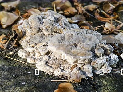 網(wǎng)貸逾期后需要償還巨額逾期費(fèi)嗎-網(wǎng)貸逾期后需要償還巨額逾期費(fèi)嗎怎么辦