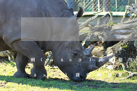 網(wǎng)貸逾期向我核實資料(網(wǎng)貸逾期說要核實資產(chǎn))