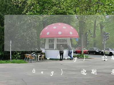 網(wǎng)貸逾期呆賬怎么還款(網(wǎng)貸逾期變呆賬是什么意思)