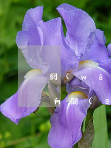 網(wǎng)貸逾期和保險(xiǎn)有關(guān)系嗎(網(wǎng)貸逾期和保險(xiǎn)有關(guān)系嗎)