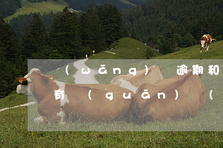 網(wǎng)貸逾期和保險(xiǎn)有關(guān)聯(lián)嗎，探討網(wǎng)貸逾期與保險(xiǎn)之間的關(guān)聯(lián)性